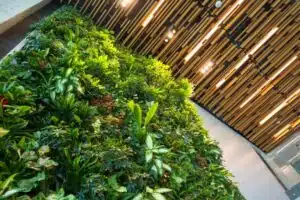 What Is Biophilic Office Design?